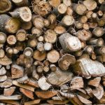 Recycling Process - a pile of wood that has been cut down