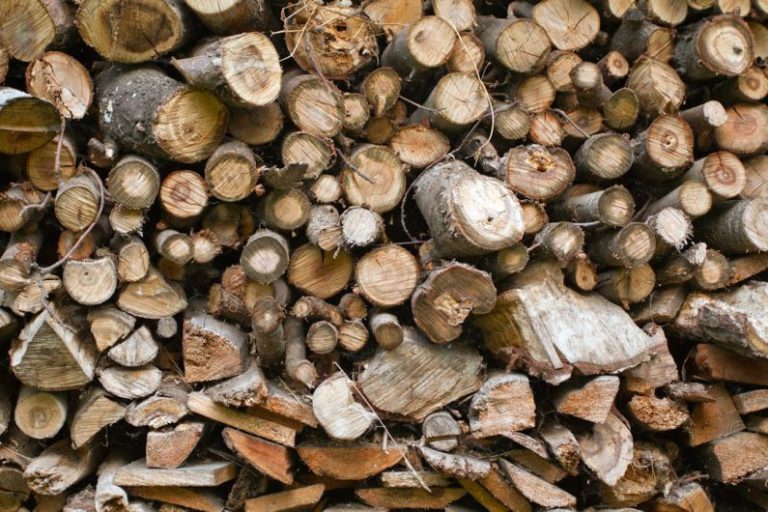Recycling Process - a pile of wood that has been cut down