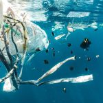 Environmental Impact - school of fish in water