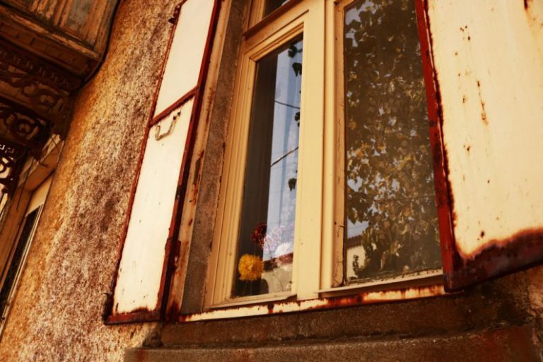 Biodegradable Tire - brown wooden framed glass window