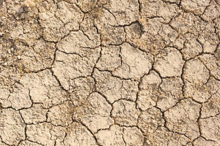 Emissions Reduction - a close up of a cracked surface of dirt