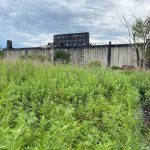 Green Warehouse - green grass field near building during daytime