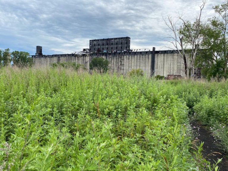 Green Warehouse - green grass field near building during daytime