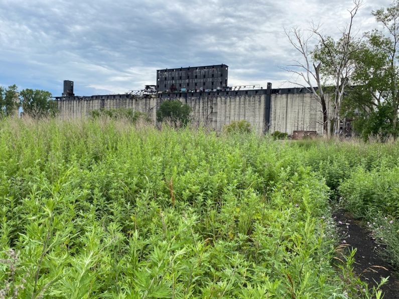 Green Warehouse - green grass field near building during daytime