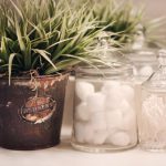 Storage Tips - shallow focus photo of green plants beside clear glass jar