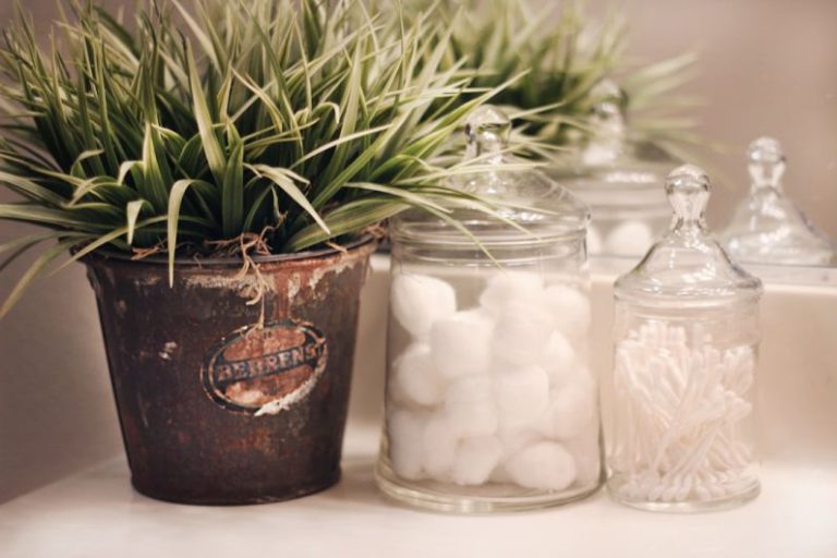 Storage Tips - shallow focus photo of green plants beside clear glass jar