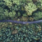 Life Cycle - bird's-eye view photography of road
