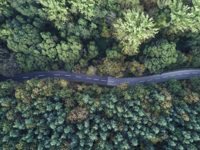 Life Cycle - bird's-eye view photography of road