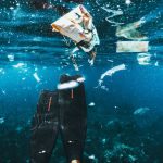 Microplastic Reduction - a person in a mask and a fish in the water
