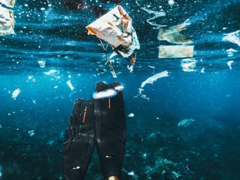 Microplastic Reduction - a person in a mask and a fish in the water