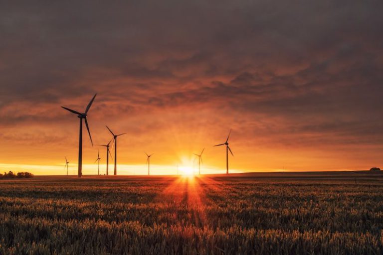 Renewable Synergy - windmill on grass field during golden hour