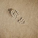 Ecological Footprint - selective focus photography of foot print