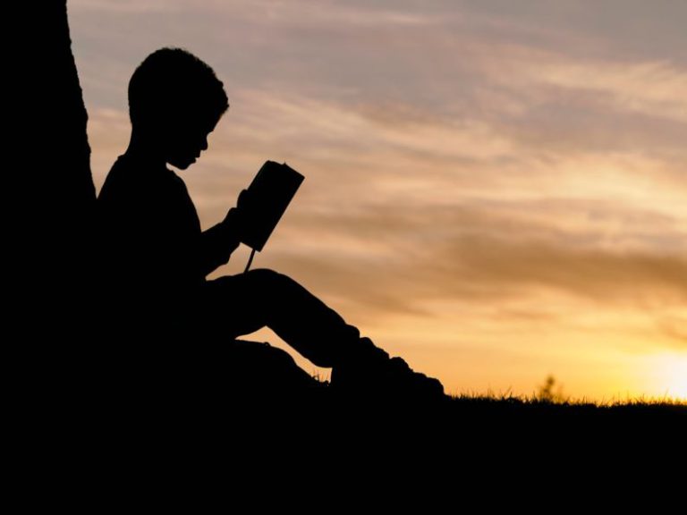 Environmental Education - silhouette of child sitting behind tree during sunset