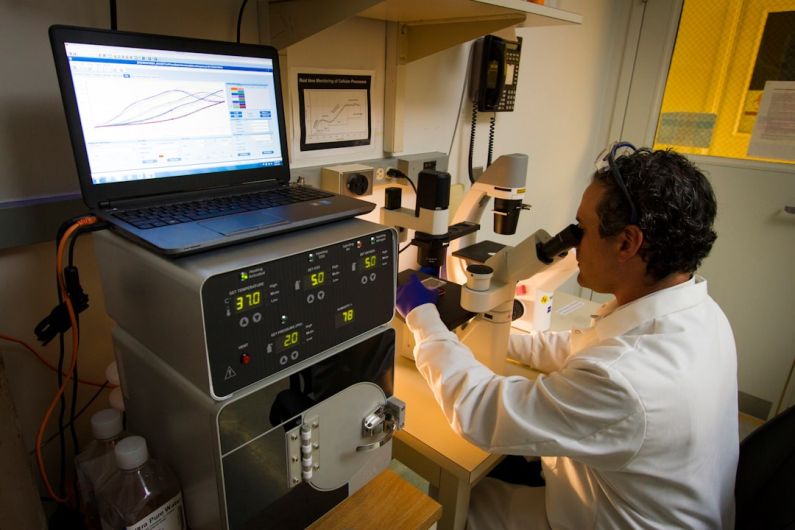 Cost Analysis - man looking at microscope